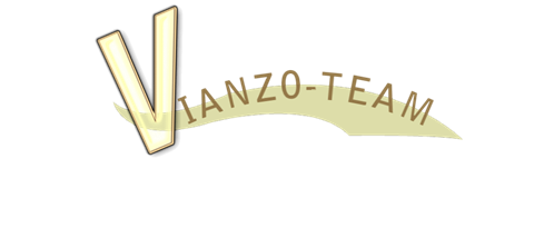 Vianzo-Team Kft